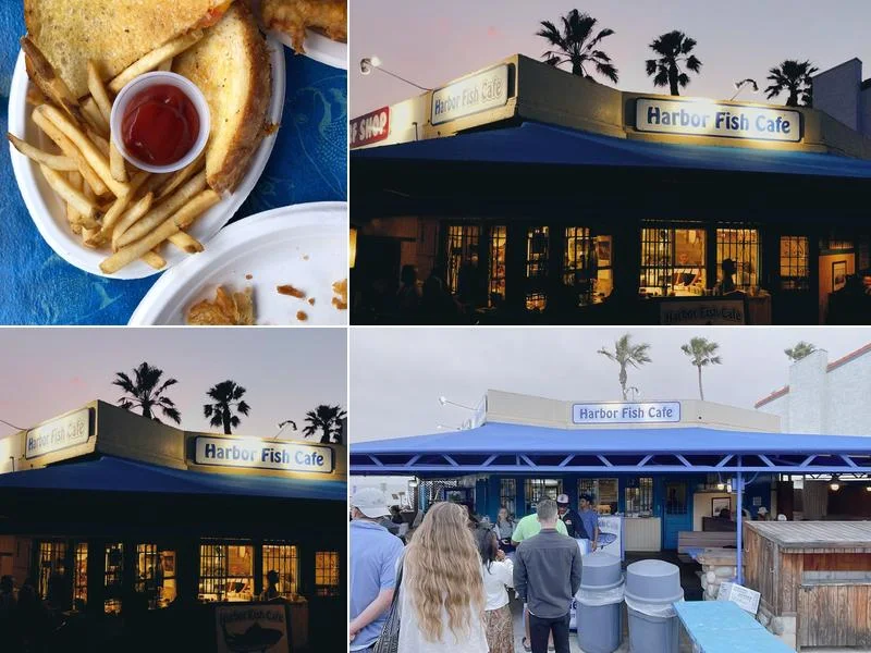 Harbor Fish Cafe business photo
