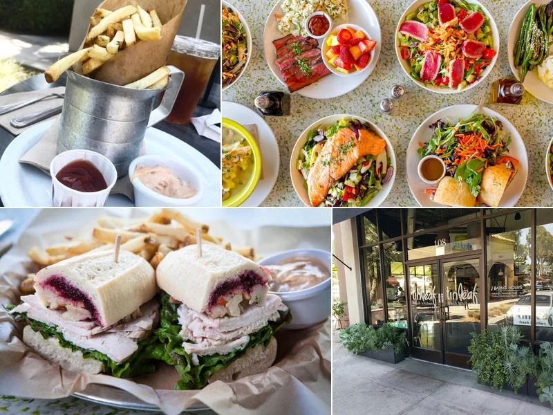 Tinleaf Fresh Kitchen business photo