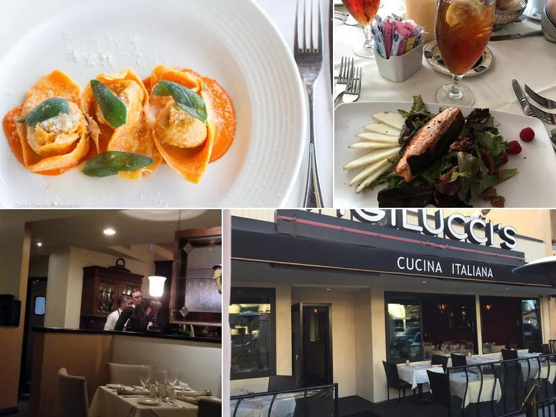Vigilucci's Cucina Italiana business photo